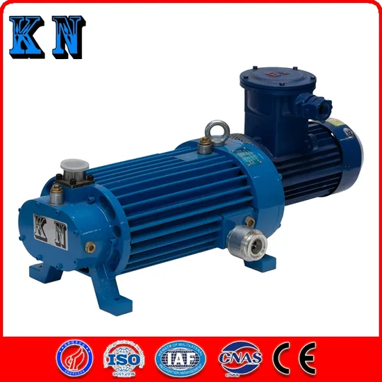 Booster Vacuum Pump Roots Blower Electric Vacuum Pump Anti-Corrosion and Explosion-Proof